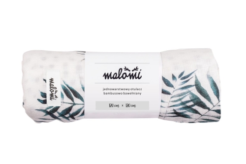 a182daba37eecbe2d253a26cb707ae30