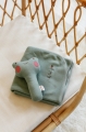 image00039.jpeg